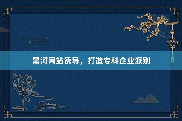 黑河网站诱导，打造专科企业派别