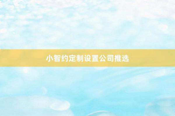 小智约定制设置公司推选